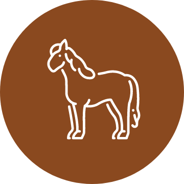 equine services icon